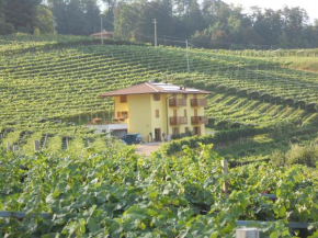 Отель Agritur al Vigneto  Тренто